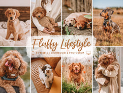 Mobile Lightroom Presets Pet Lovers, Dog Cat Animal Presets, Outdoor Pets Instagram Photo Filters, Bright Warm Blogger Desktop Presets