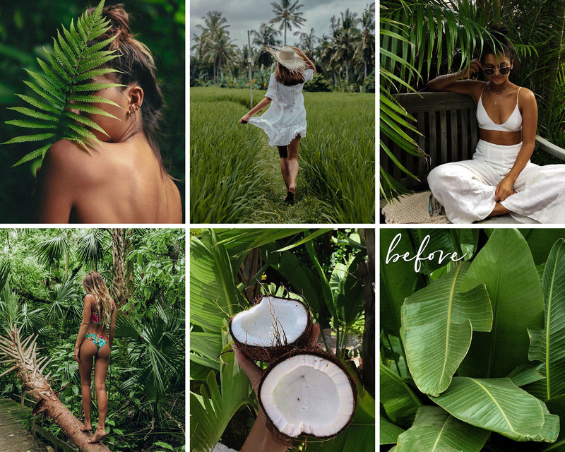 Jungle Vibes Presets For Adobe Photoshop and Lightroom CC