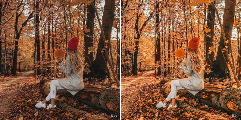 Autumn Red Presets For Fall Season In Lightroom Mobile And Photoshop Desktop
