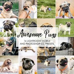 Awesome Pugs - Lightroom Presets