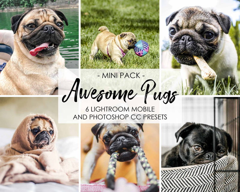 Awesome Pugs - Lightroom Presets For Dogs