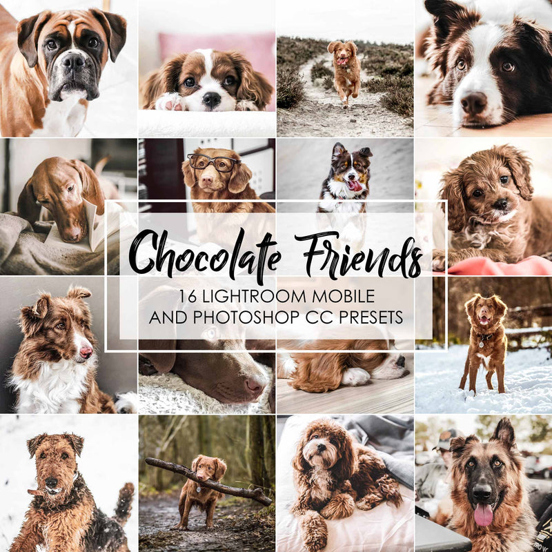 Chocolate Friends Dogs Presets For Lightroom And Photoshop