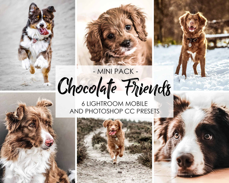 Chocolate Friends Presets For Brown Dogs In Lightroom And Photoshop