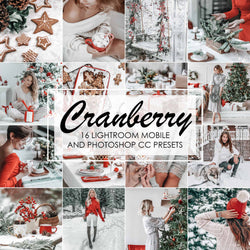 Cranberry White And Red Christmas Presets For Lightroom And Photoshop