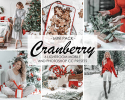 Cranberry Christmas Presets For Photoshop And Lightroom CC And Classic
