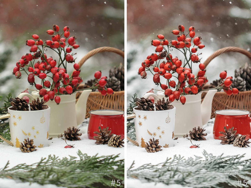 Cranberry Christmas Presets For Photoshop And Lightroom CC And Classic