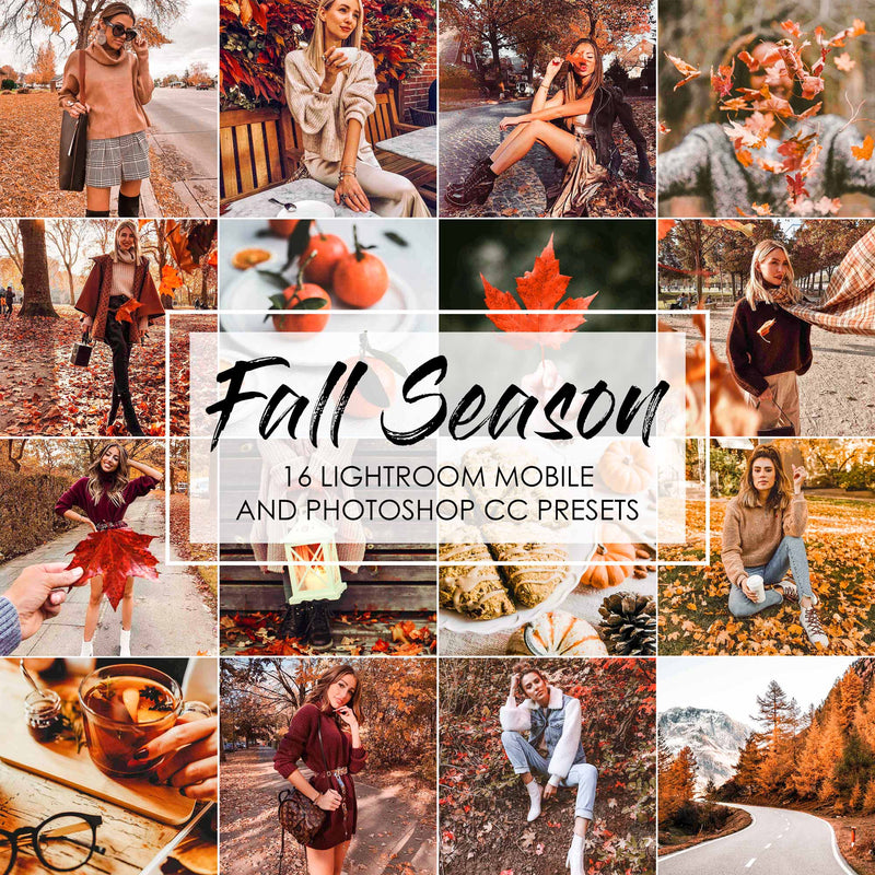 Fall Season Presets For Lightroom And Photoshop Autumn Presets