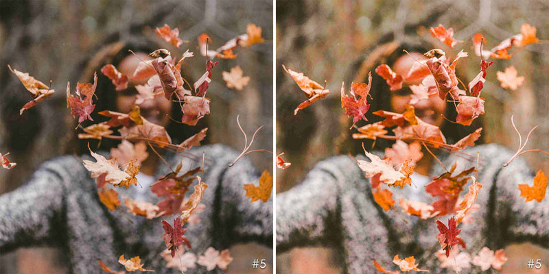 Fall Season Lightroom Presets And Photoshop Filters