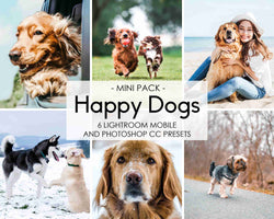 Happy Dogs Presets For Lightroom And Photoshop