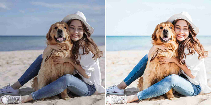 Happy Dogs Lightroom Presets for iPhone and Android