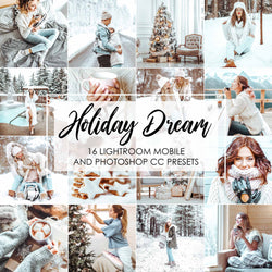 Holiday Dream Winter Presets For Lightroom