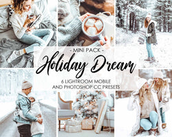 Holiday Dream Preset For Winter Season Presets In Lightroom CC