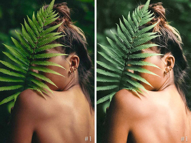 Jungle Vibes Presets For Adobe Photoshop and Lightroom CC