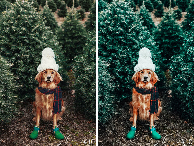 Minty Winter Lightroom Presets for Christmas
