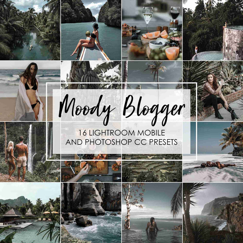 Moody Blogger Presets for Lightroom And Photoshop