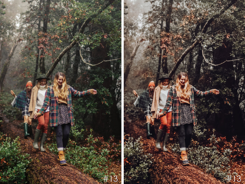 Moody Fall Autumn Lightroom Presets for Mobile and Desktop