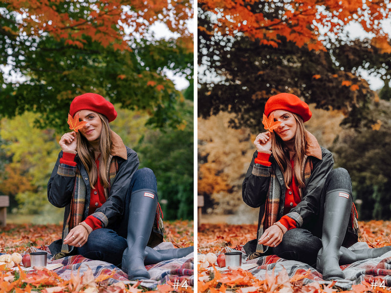 Moody Fall Presets For Lightroom, Autumn Filters for Photoshop