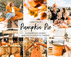 Pumpkin Pie Lightroom Presets For Halloween And Fall Season