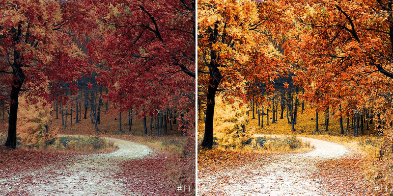 Pumpkin Pie Lightroom Presets For Autumn And Fall Seasons