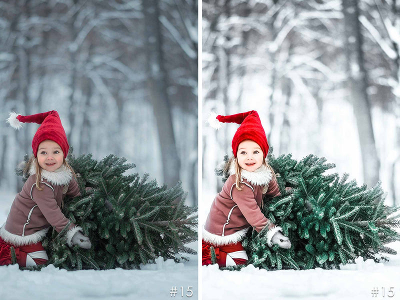 Santa's Elves Christmas Presets For Lightroom And Photoshop