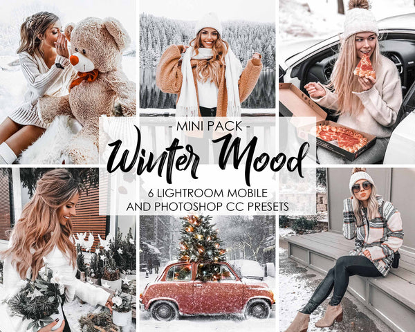 Winter Mood Presets For Adobe Lightroom And Photoshop